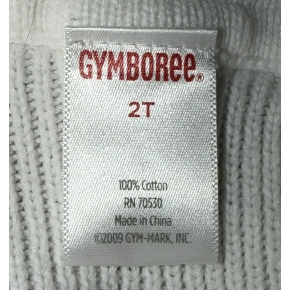 Gymboree Fall For Autumn Embroidered Flower Sweater‎ White Girls 2T
